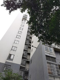 高楼旁的绿植与建筑景观