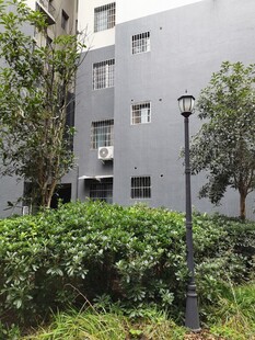 灰色建筑旁的绿植与路灯