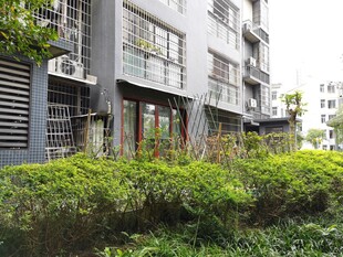 现代住宅旁的绿植景观