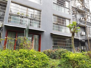 现代住宅旁的绿植景观