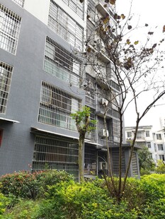 现代住宅旁的绿植景观