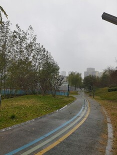 雨中蜿蜒的乡村公路