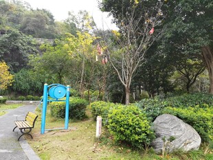 公园休闲场景