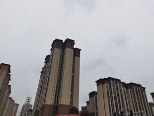 高楼林立的城市景象