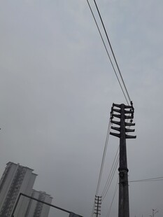 城市中的电线杆与高楼