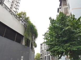 城市建筑旁的绿植景观