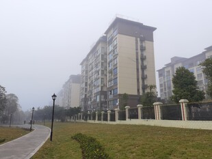 雾中住宅区景观