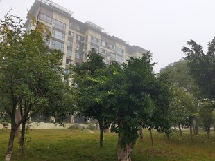 小区园林景观与住宅楼