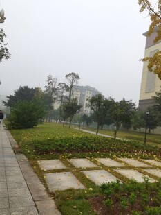 园林景观中的雕塑与绿植