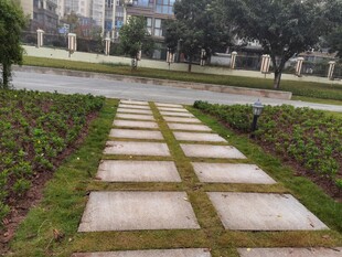 石板小径绿意环绕的景致