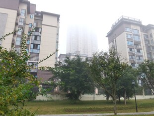雾中小区景观