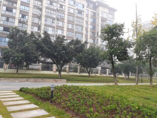 小区内的绿化景观