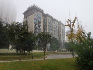 雾中小区建筑与绿化景观