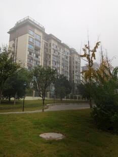 小区内的建筑与绿化景观