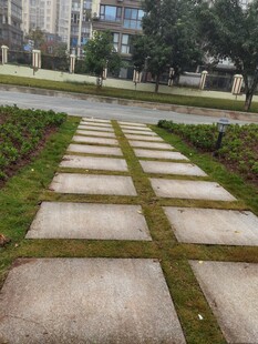 石板小径绿意相伴的景致