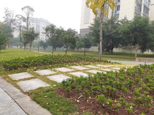 城市花园中的石板小径