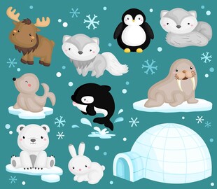 可爱极地动物大集合