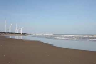 宁静海滨沙滩与远处风车