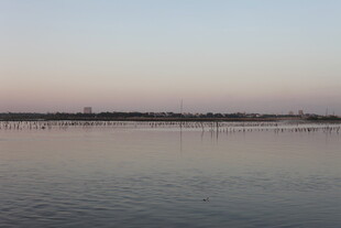 平静湖面与远处天际线