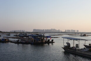 江边停泊的船只景观