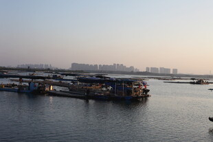 河畔停泊的船只景观