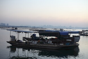 港湾中的停泊船只