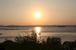 夕阳下的宁静水域景观