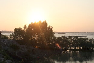 夕阳下湖畔的静谧景致