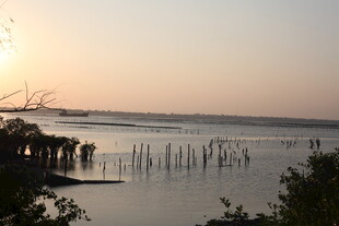 夕阳下的宁静水上风光
