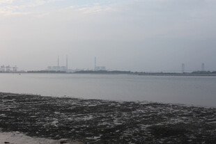 海边滩涂与远处风车景观