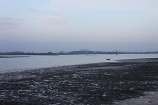 黄昏下的宁静河岸风光