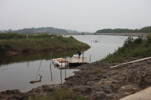 河边停靠小船的宁静场景