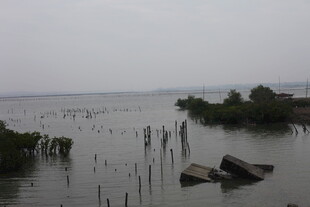 水上枯木与孤舟的景致
