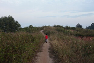 徒步者穿行于草木小径