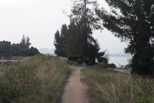 海边小径漫步自然之境