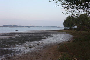 海边黄昏时的静谧河岸