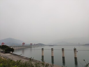 湖北 旅游 雾中湖畔的宁静景致