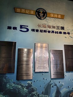 海洋科考成果展示墙