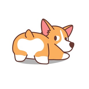 趴着的可爱柯基犬