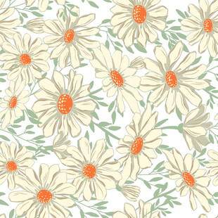 小雏菊花卉图案背景图