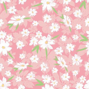 粉色雏菊花卉图案背景