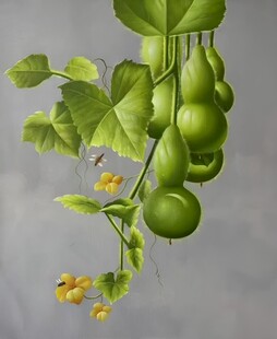 葫芦插画