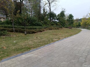 城市中蜿蜒的绿化道路