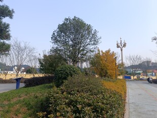 城市公园的宁静景致