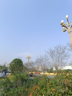 户外园林景观中的特色灯柱