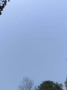 蓝天绿树间的开阔景致