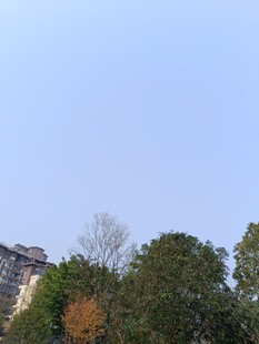 蓝天绿树间的建筑一角