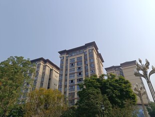 高层住宅旁绿树环绕