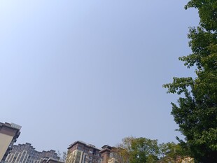 蓝天绿树旁的建筑物