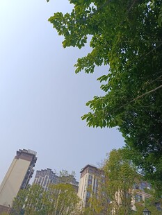 城市中林立的高层住宅